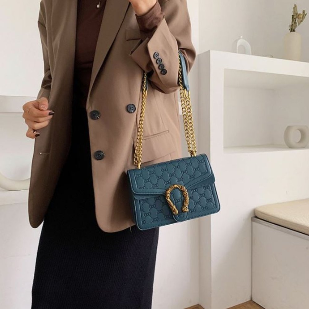 Fashion Shoulder Bag(BG080)